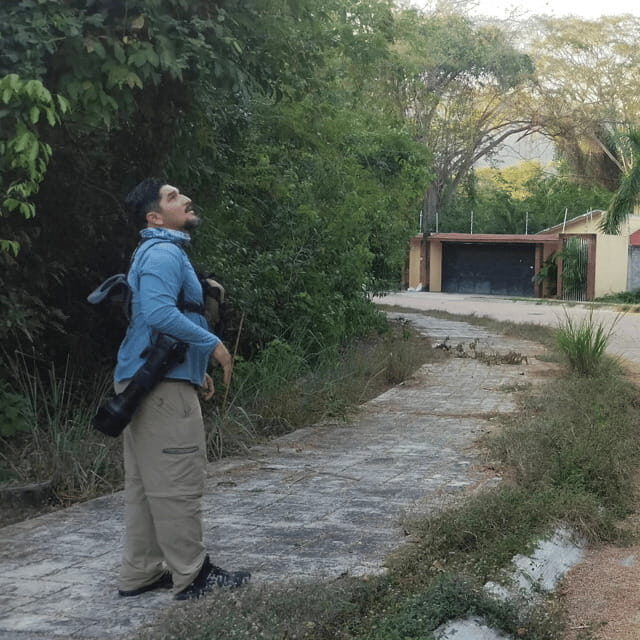 Ixtapa: Bird Watching Tour with Round-Trip Transportation - Detailed Breakdown of the Experience