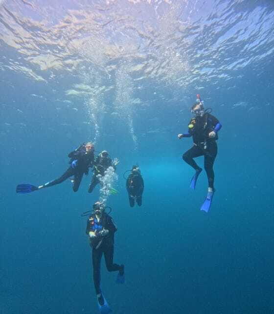 Ixtapa: Discover Diver Course - Introduction to the Discover Diver Course in Ixtapa