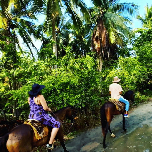 Ixtapa: Horseback Riding Tour Along Playa Larga - Key Points