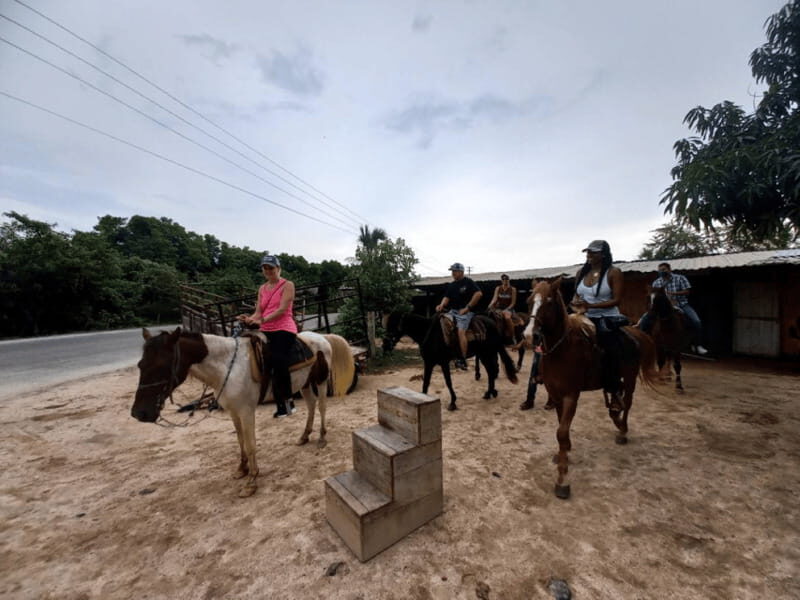 Ixtapa: Horseback Riding Tour Along Playa Larga - A Closer Look at the Experience