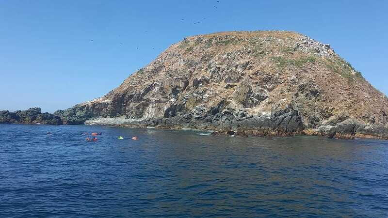 Ixtapa: Marine Life Exploration - Setting Expectations: What’s Included and What to Know