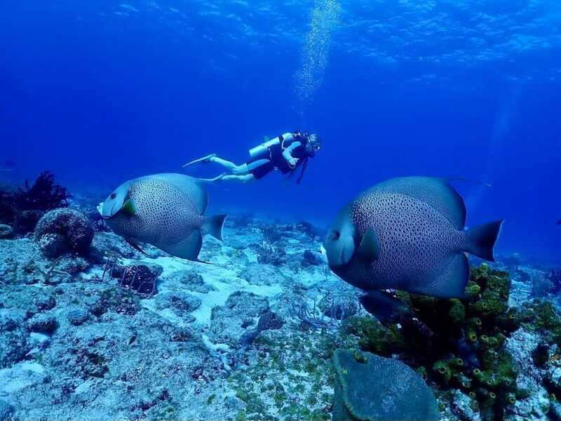 Ixtapa: Nighttime Underwater Exploration at Piedra Solitaria - Final Thoughts