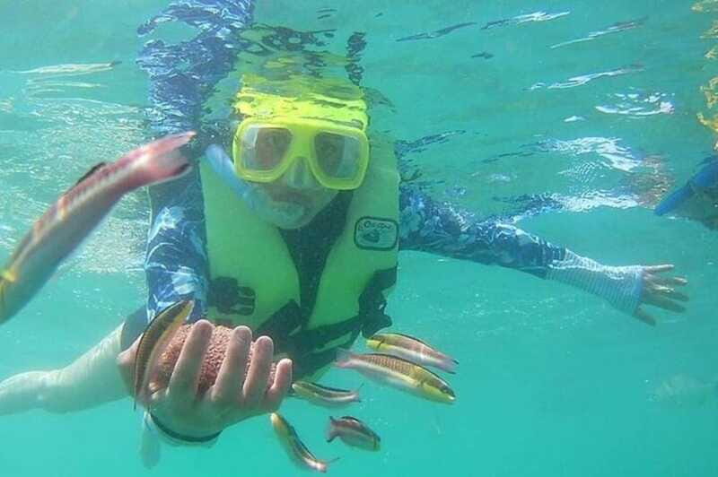 Ixtapa: Snorkeling Tour to Ixtapa Island - Who Will Love This Tour?