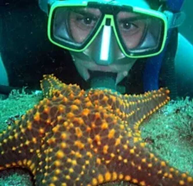 Ixtapa: Underwater Adventures in Zihuatanejo - Exploring the Underwater World of Ixtapa