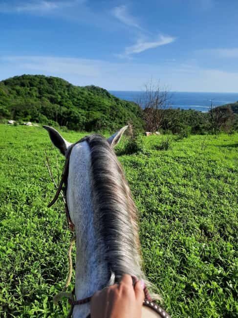 Ixtapa-Zihuatanejo: Horseback Riding Tour - Key Points