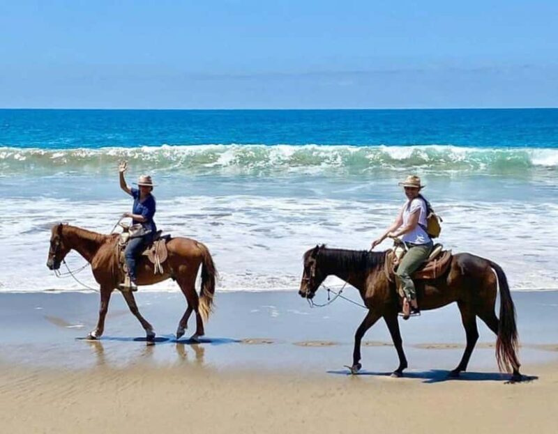 Ixtapa-Zihuatanejo: Horseback Riding Tour - FAQs