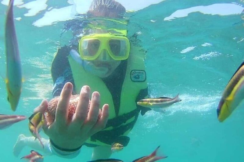 Ixtapa-Zihuatanejo: Las Gatas Beach - Who Will Love This Experience?