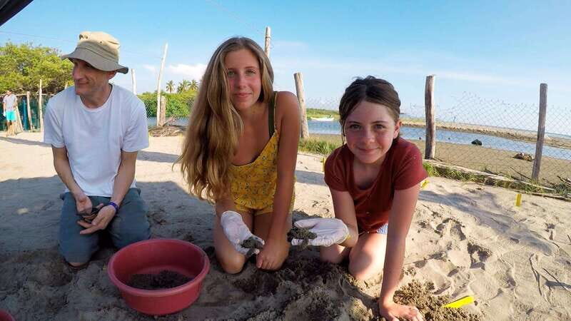 Ixtapa-Zihuatanejo: Turtle Release Tour. - Introduction