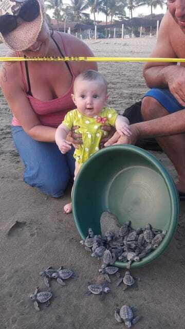 Ixtapa-Zihuatanejo: Turtle Release Tour. - Who Will Enjoy This Tour?