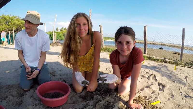 Ixtapa-Zihuatanejo: Turtle Release Tour. - Final Summary