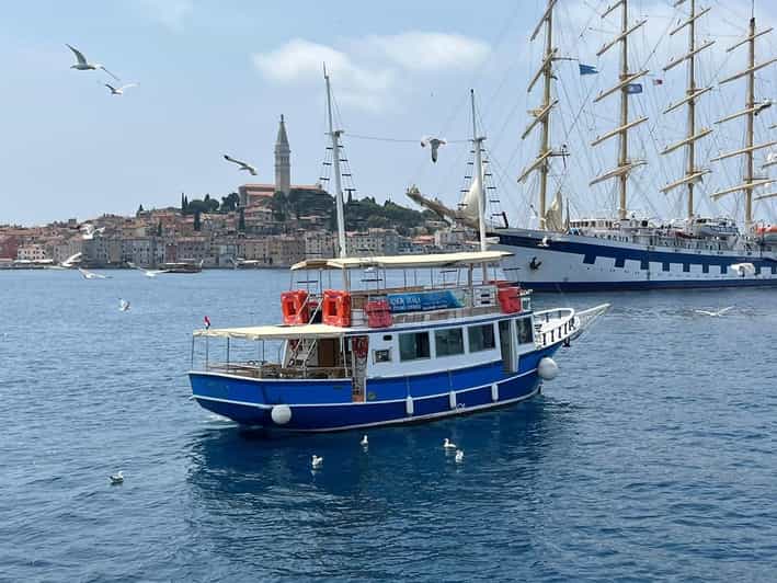 Izlet brodom iz Vrsara: Zalazak sunca i druenje s delfinima - Why the Experience Offers Good Value