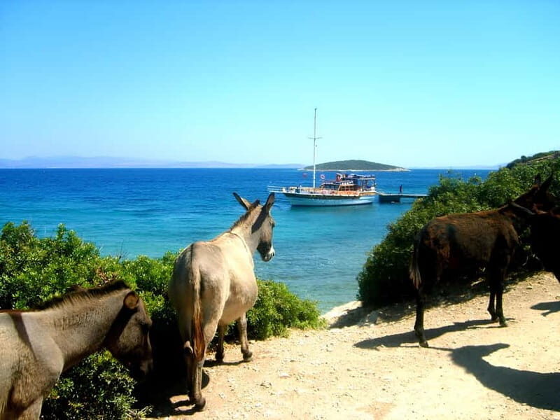Izmir: Cesme Boat Tour and Alacati Visit - A Practical Overview of the Tour