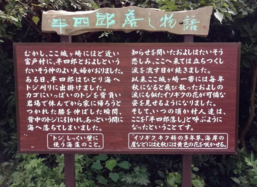 Izu Peninsula: Jogasaki Coast Experience - Coastal Charm and Scenic Vistas