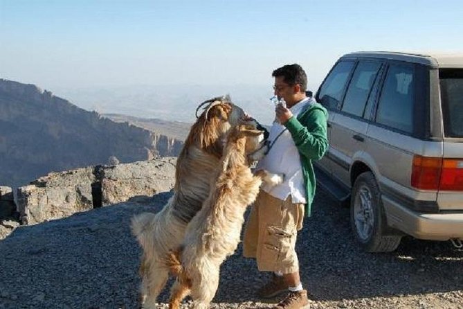 Jabl Shams With Nizwa for Tours and Sightseeing - Pickup and Schedule Information