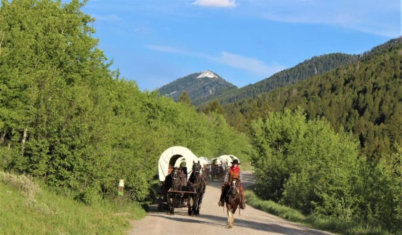 Jackson: Chuck Wagon Cookout and Live Show - What to Bring