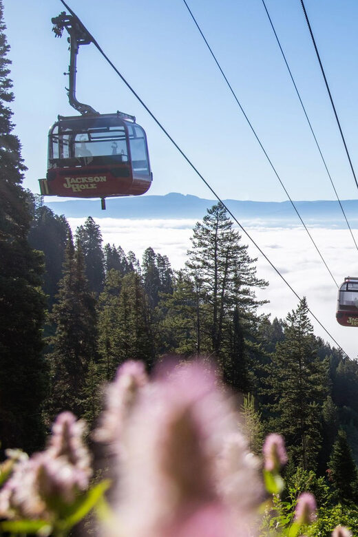 Jackson Hole: Aerial Tram and Gondolas Sightseeing - Trails and Exploration Opportunities