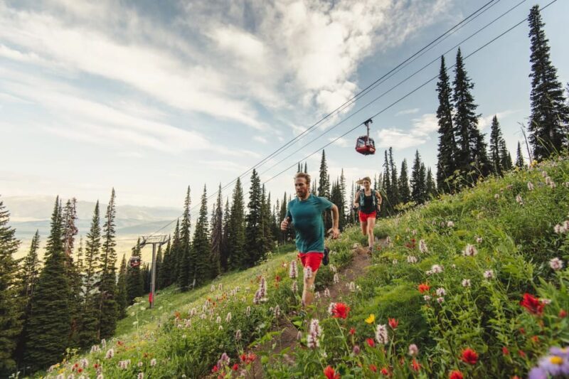 Jackson Hole: Aerial Tram and Gondolas Sightseeing - Authentic, Tasty Highlights