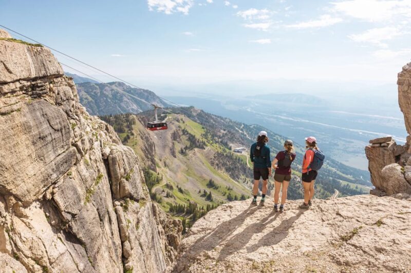 Jackson Hole: Aerial Tram and Gondolas Sightseeing - Who Will Love This Tour?