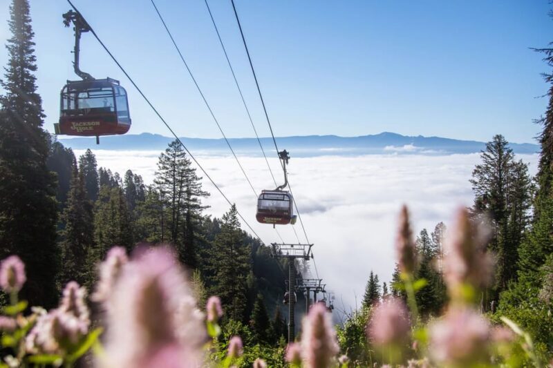 Jackson Hole: Aerial Tram and Gondolas Sightseeing - A Thorough Breakdown of the Itinerary