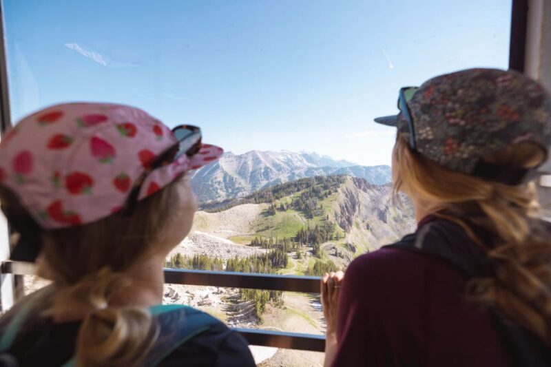 Jackson Hole: Aerial Tram and Gondolas Sightseeing - Real Visitor Insights