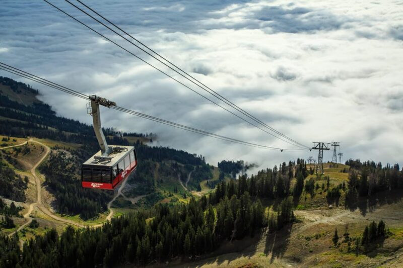 Jackson Hole: Aerial Tram and Gondolas Sightseeing - Cost and Value Analysis
