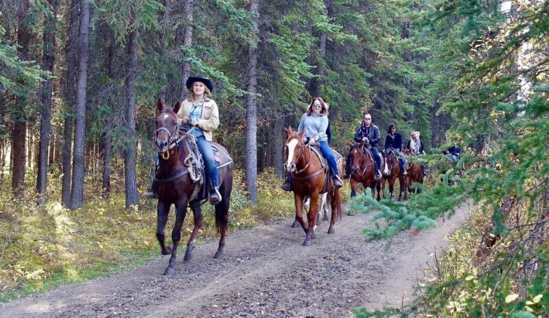 Jackson Hole: Bridger-Teton National Forest Horseback Ride - The Sum Up