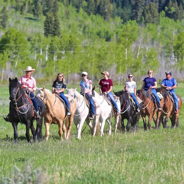 Jackson Hole: Bryan's Flat Guided Scenic Horseback Ride - Highlights of the Experience