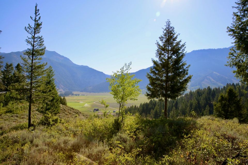 Jackson Hole: Bryan's Flat Guided Scenic Horseback Ride - Limitations and Restrictions