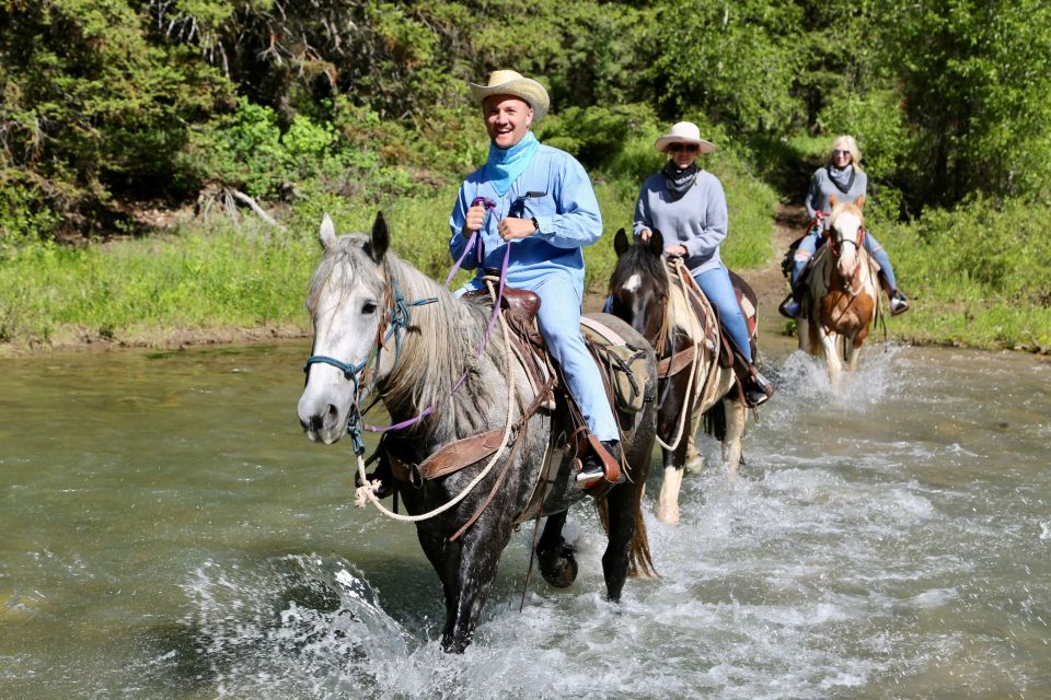 Jackson Hole: Bryan's Flat Guided Scenic Horseback Ride - What to Expect on the Trail