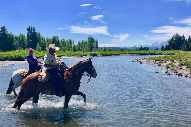Jackson Hole Horseback Riding in the Bridger-Teton National Forest - Recap