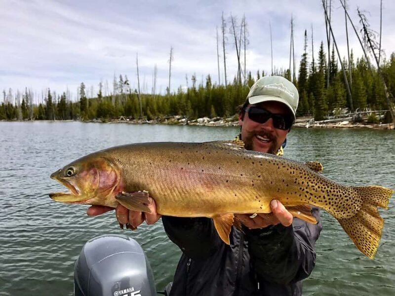 Jackson Hole: Private Fly Fishing Trip with Guide - An Overview of the Experience