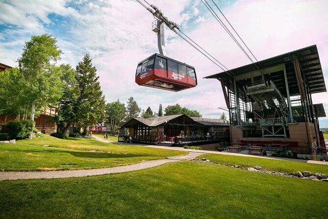 Jackson Hole Summer Aerial Tram Sightseeing - What Is the Jackson Hole Summer Aerial Tram?