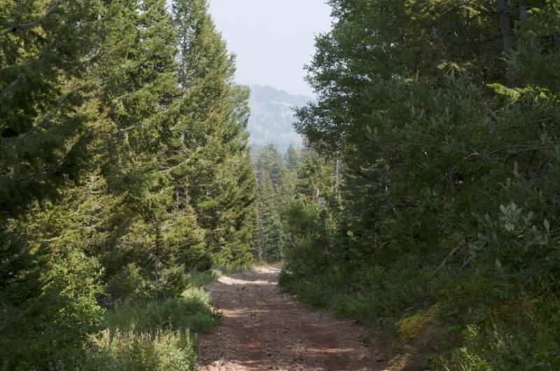 Jackson Hole: Teton Range ATV Tour with Picnic Lunch - An introduction to the Jackson Hole ATV Experience