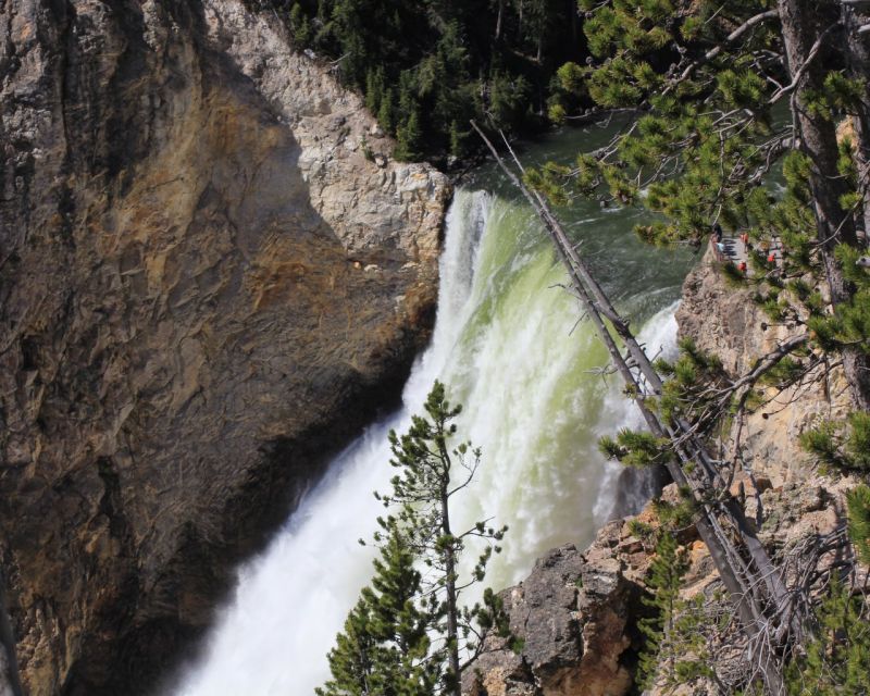 Jackson Hole: Yellowstone Lower Loop Upper Loop 2-Day Tour - Tour Highlights