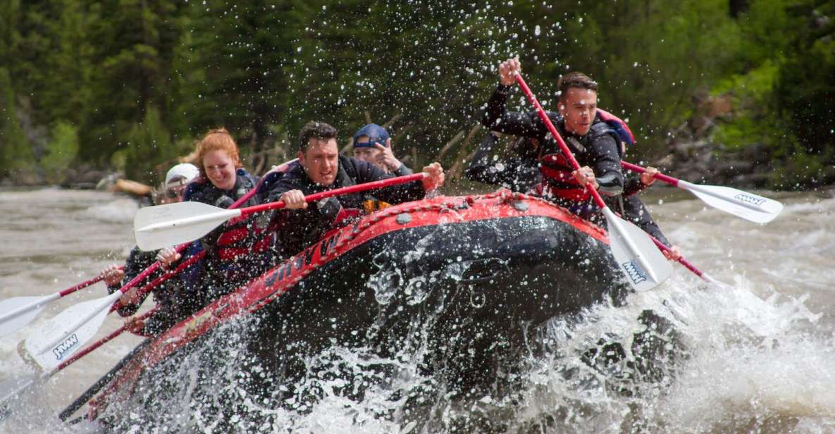 Jackson: Snake River Class 2-3 Whitewater Rafting Adventure - Activity Details and Inclusions