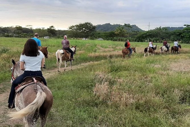Jacó Beach Horseback Riding Experience - Feedback on Cancellation Policies