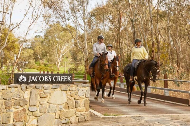 Jacobs Creek Vineyard Horse Ride and Tasting - Final Thoughts: Who Is This Tour For?