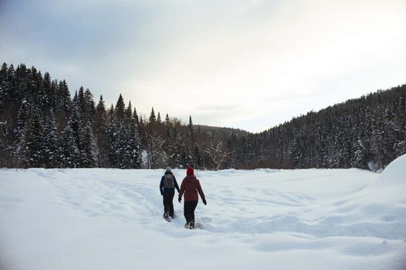 Jacques-Cartier: National Park Entry Ticket & Snowshoeing - The Sum Up: Is It Worth It?