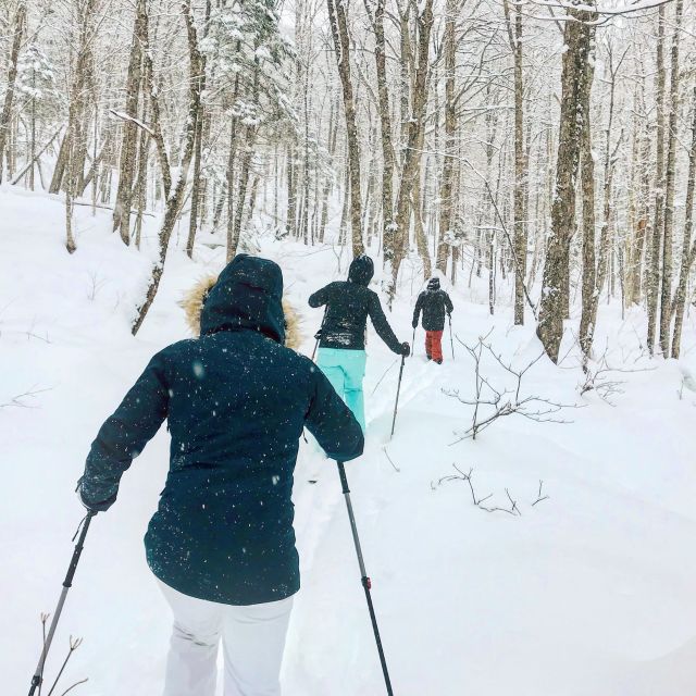 Jacques-Cartier National Park: Skiing Excursion - Inclusions and Exclusions