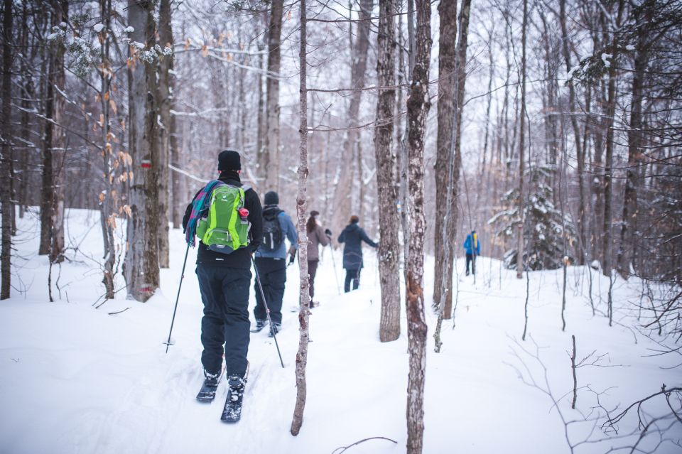 Jacques-Cartier National Park: Skiing Excursion - Meeting Point and Transportation