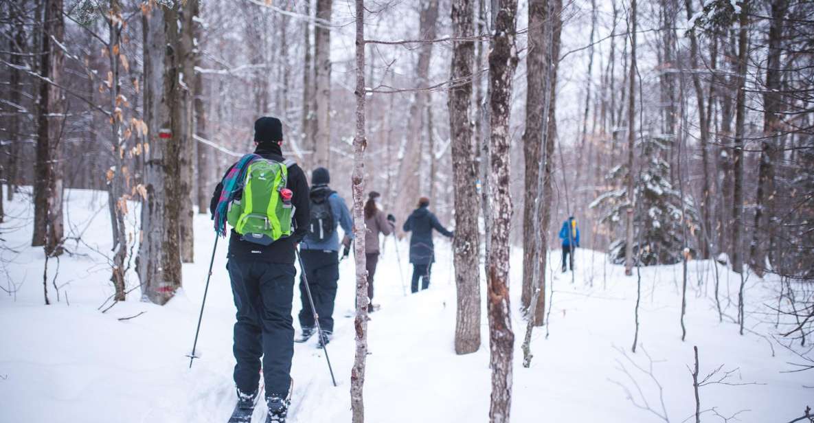 Jacques-Cartier National Park: Skiing Excursion - Duration and Activity Details