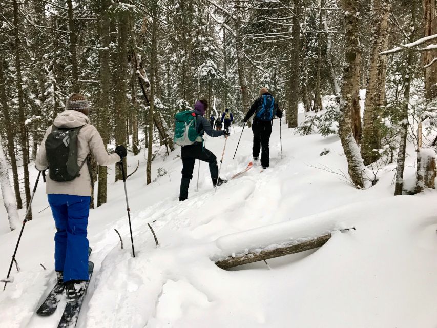 Jacques-Cartier National Park: Skiing Excursion - Frequently Asked Questions