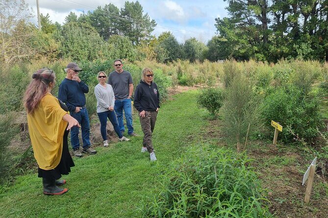 Jade Carving, Honey & Wine Tasting Private Tour - Final Thoughts: A Genuine, Artistic, and Tasty Day Out