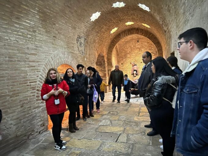 Jaén: 3 Hour Tour, Cathedral, Arab Baths + Olive Oil Tasting - Inclusions and Accessibility