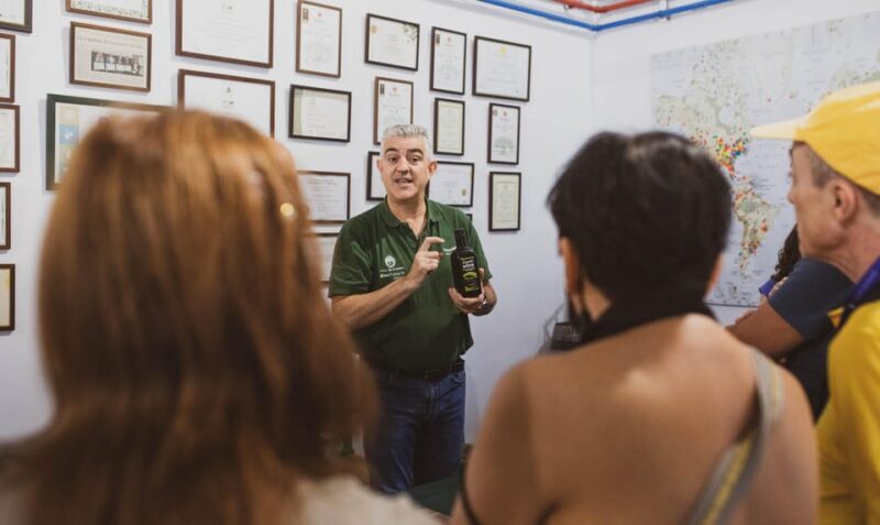 Jaén: Guided Olive Grove Tour - Frequently Asked Questions  