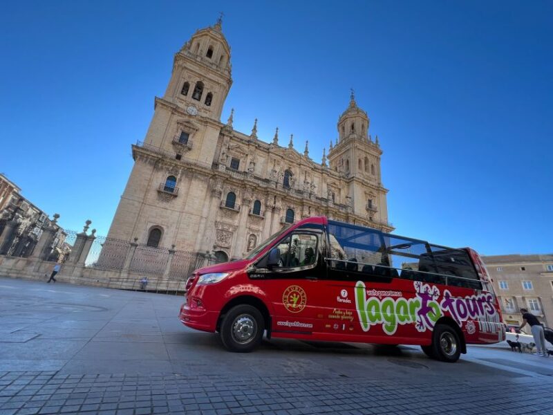 Jaén: Hop-On / Off Sightseeing Bus Tour + Olive Oil Tasting - Good To Know