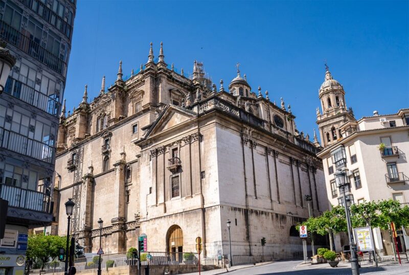 Jaén: Hop-On / Off Sightseeing Bus Tour + Olive Oil Tasting - Reviews