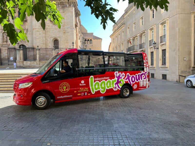 Jaén: Hop-On / Off Sightseeing Bus Tour + Olive Oil Tasting - Accessibility and Languages