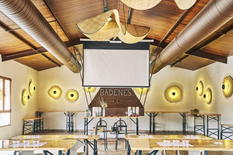 Jaen: Olive Oil Tour With the 5 Senses, Grove and Tasting - Languages and Pricing