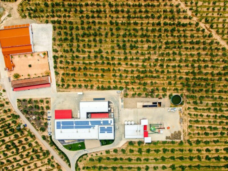 Jaen: Olive Oil Tour With the 5 Senses, Grove and Tasting - Frequently Asked Questions